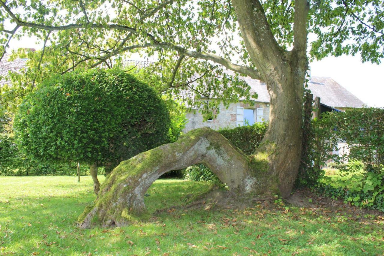 Villa Gïte de l'EHM à Custinne Extérieur photo